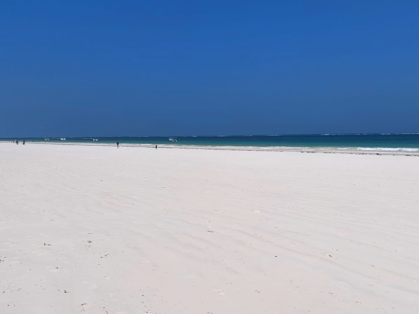 WhatsApp Image 2026 05 18 at 7.03.50 PM (1) — Precious Ecostar Safaris