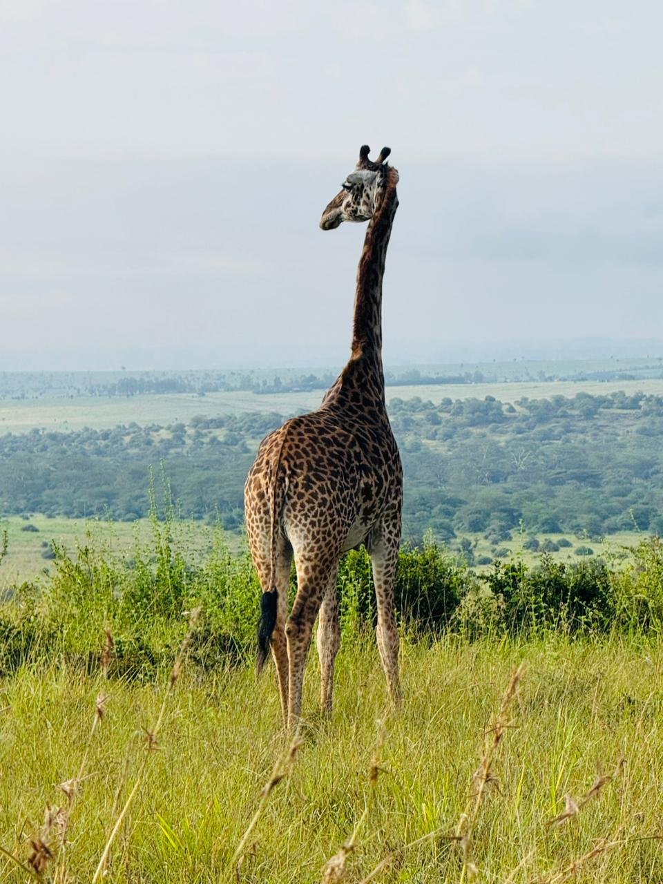 WhatsApp Image 2026 05 22 at 3.29.51 PM (1) Copy — Precious Ecostar Safaris