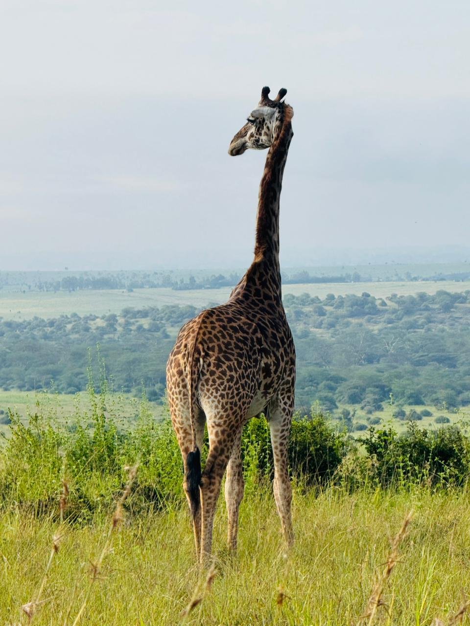 WhatsApp Image 2026 05 22 at 3.29.52 PM (2) — Precious Ecostar Safaris