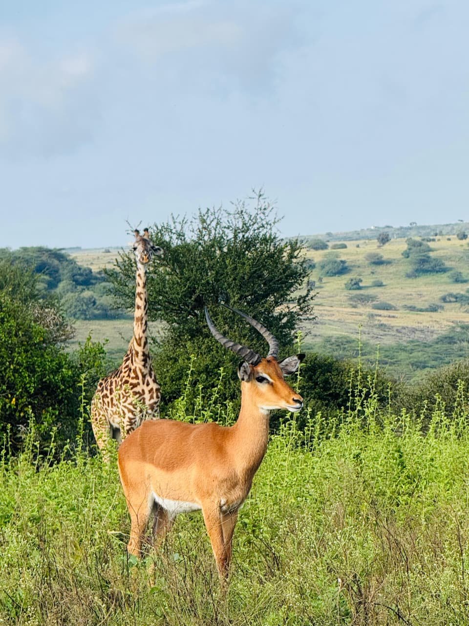 WhatsApp Image 2026 05 22 at 3.29.53 PM (2) — Precious Ecostar Safaris