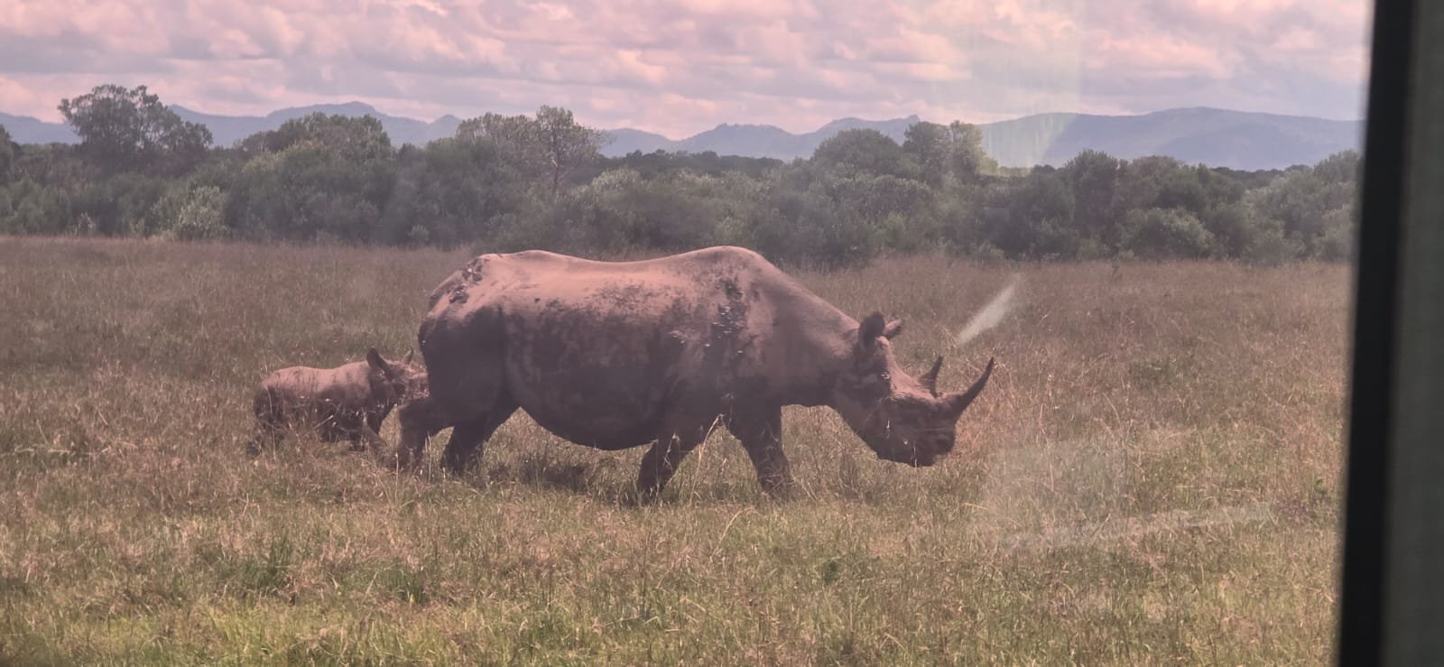 WhatsApp Image 2026 05 22 at 3.32.16 PM — Precious Ecostar Safaris