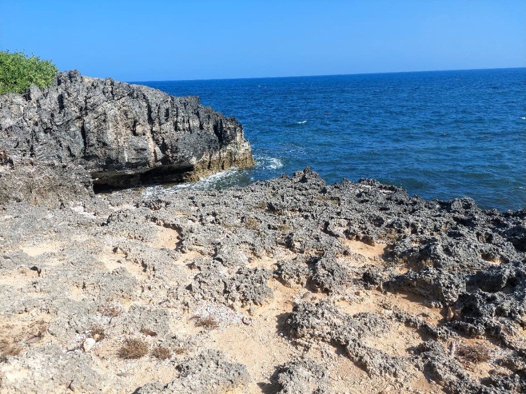 Diani coast 08 — Precious Ecostar Safaris